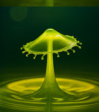 몰입형 탐험 체험